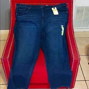 Terra Sky Straight 24w